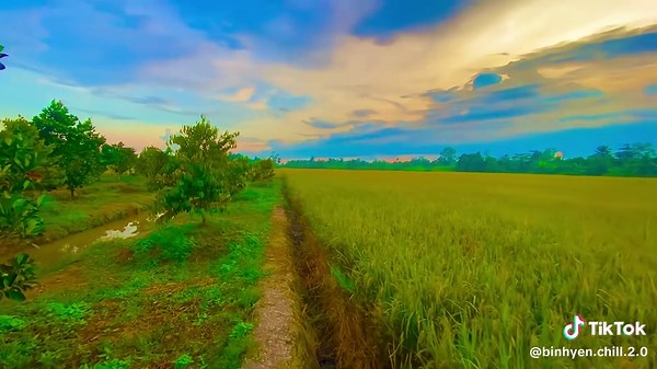 Đám Cưới Trong Xóm: Khung Cảnh Tình Yêu miền Tây