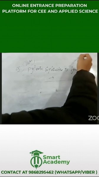 Zoology Crash Course: Understanding the Digestive System