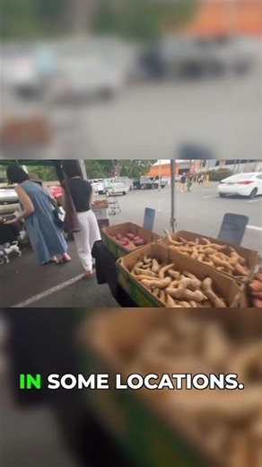 How to save money on groceries in Australia!