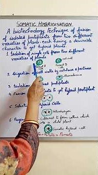 Somatic Hybridisation & Somatic Hybrid Plants || Biotechnology # neet Biology