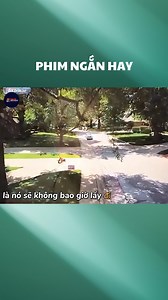 7.8K views · 19 reactions | Nhóm người bị một gã cao bồi lấy mất chiếc mũi #reviewphim #phimhaynhat #tomtatphim #phimmoi #viral #short | 1977 Review | Facebook