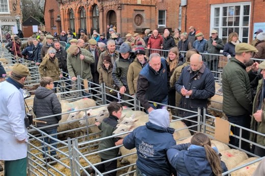 Melton Mowbray Market on Reels