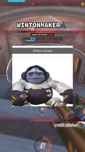 WINTONMAKER🦍 Overwatch 2 Memes, Clips & Funny Moments