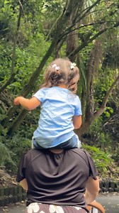 From bridges, to gardens and play trails too... So much has happened this year in Hamilton! We're striving to make our growing city an even better place to live, work, and thrive. Our focus is on creating a city that's easy to live in, where our people thrive, with a central city people love, lots of fun activities, and a green environment. Thank you for being a part of our community. Here's to an even better 2025! 🙌 | Hamilton City Council