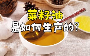 菜籽油是如何生产的？先将芥花籽压成薄片，再送入辊轧机压榨！