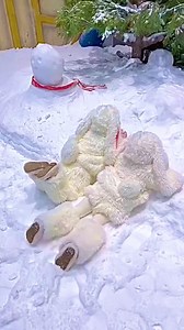 Kawaii baby snowboard 🏂🥰 | Nobboru Tanakka