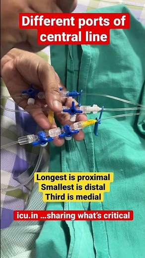 #icushort 11: Different ports in central line in icu