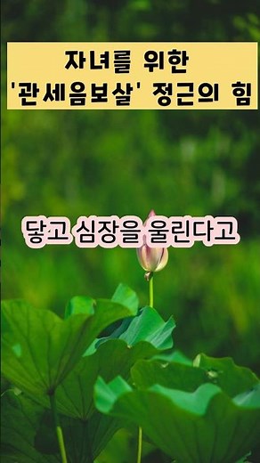 위기의 자식을 구하는 기도법: 관세음보살 정근 가이드#관세음보살 #염불기도 #자식사랑 #기적의기도 #불교수행 #업장소멸 #가피