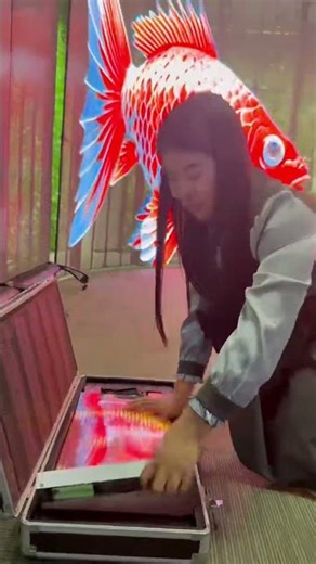 LED transparent screen, a display screen that can be attached to glass. #leddisplay #led