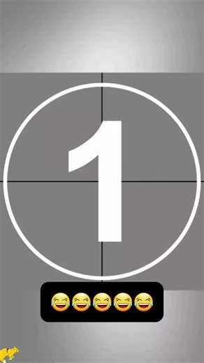 Top Viral Funny Cat Moments That Will Make You Laugh