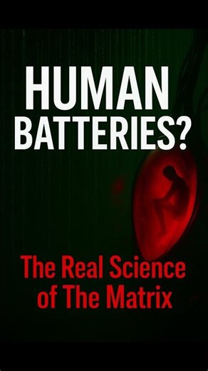 The Real Science of The Matrix - Human Batteries #shorts #matrix #scienceshorts #realscience