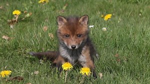 You can’t save the planet alone – but you can start here