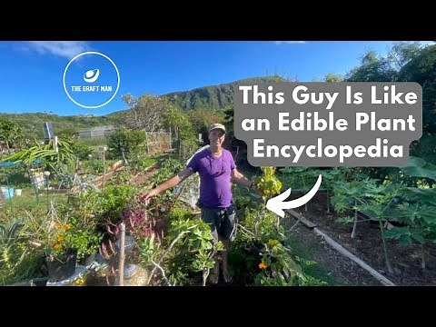 This Guy Knows Plants! A Tour of a Hawaiian Edible Garden!