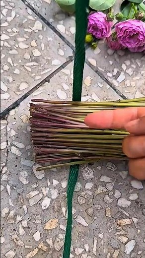 🔥 Do You Tie It Like This?