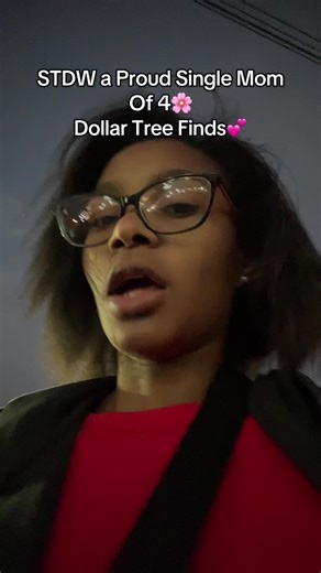 @DollerTreefinds they have really upgraded 💕🥹 #vlog #shopping #savingmoney
