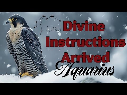 📝Aquarius |👁️Be Still Enough—So It Lands With Precision | ♒