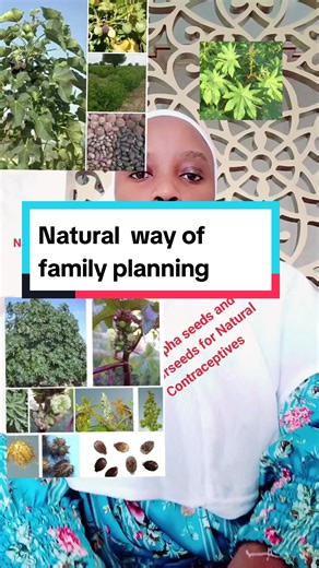 Natural Contraceptives: Jatropha & Castor Seeds for Family Planning