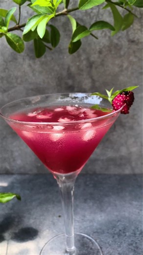 Mulberry Necto 🤔🍹| Mulberry juice #mulberry #shortsfeed #viralvideo #cooldrinks