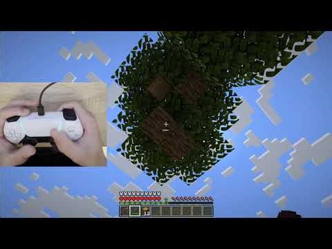 Minecraft with Steam Input