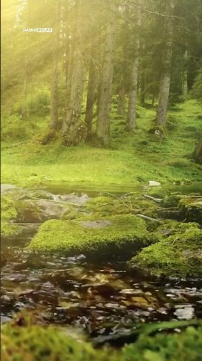 🎶Musica Rilassante per Rilassare e Calmare la Mente | Musica della Natura🌿