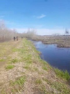 1.4K views · 3 comments | Check out this footage of beaver dam busting caught by Jefferson Weaver and friends. | The News Reporter | Facebook
