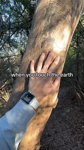 This is why you should ground this weekend! 😍 We love this from @hippychictravels! #earthing #grounding #groundingenergy #dailyhabits #healthtip #holistichealth #holistichealing #holistic #alternativehealth #alternativehealing #alternativehealthcare #naturalhealing #empoweryourself #epigenetics #mindbodymedicine #mindbody #quantumhealing #energyhealing #energyhealer #energyhealers #quantumphysics #begroundedeveryday #cortisol #stress #stressrelief #sleepbetter #anxietytips | BeGrounded