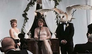 10 perfectly timed pictures you will love to share!