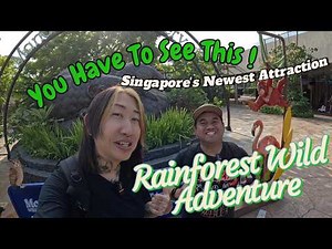 Mandai Rainforest Wild Adventure 🌿 | Canopy Walks & Thrills! #rainforestwildlife #mandai