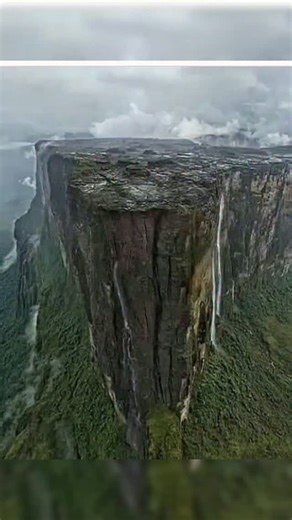 The waterfalls coming from the tops of these massive ancient trees are remnants of a great flood. #CapCut #oldworldhistory #mudfossils #ancienttrees #gianttrees #questioneverything #historyreset | Question Everything