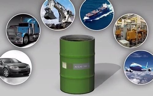 Bio-diesel from microalgae Algae