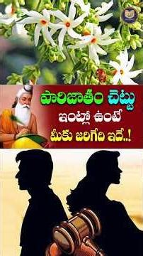 పారిజాతం చెట్టు ఇంట్లో ఉంటే మీకు జరిగేది ఇదే | Real Facts About Parijatham Plant | Vastu Sastra