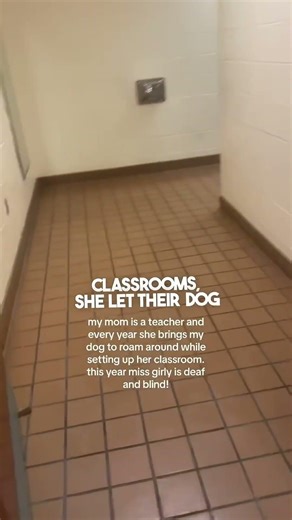 This blind and deaf dog keeps getting lost at school 😂❤️