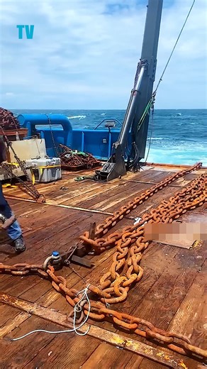 Why Dropping a Ship's Anchor Is Considered Dangerous Do you know why dropping a ship's anchor is considered dangerous dropping a ship’s anchor risks mechanical failure, drifting, and severe damage to crew, cargo, and ecosystems. #ShipAnchor #MaritimeSafety #AnchorRisks #ShipSafety #OceanConservation #SeafloorDamage #MarineLifeProtection #CrewSafety #CargoSafety #NavalOperations #AnchorHandling #MaritimeHazards #Shipping #OceanSafety #SeafloorProtection | Tech Vision yt