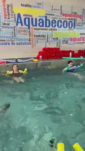 exercice d abdominaux aquagym aquafitness aquabecool