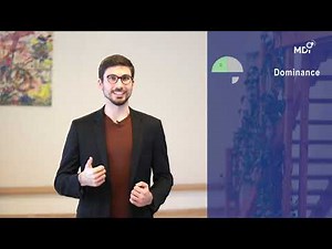 Unterstanding the 4 Disc Styles: dominance, influence, steadiness & conscientious