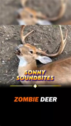 Zombie deers.. 🦌#zombie