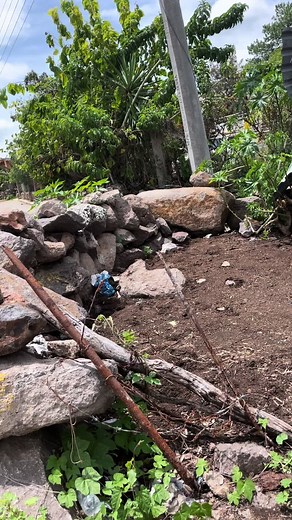 Explora el Bonito Rancho Las Mangas de Corralejo