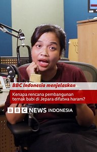 Sudah ada banyak peternakan babi di Jawa Tengah. Bahkan, hampir tiap kabupaten di Jateng punya peternakan babi. Tapi, belakangan, rencana pembangunan peternakan babi di Jepara difatwa haram oleh MUI Jateng. Apa alasannya? | BBC News Indonesia