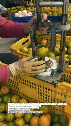 Smart Manual Orange Juicing Tool | Fast & Efficient Citrus Press Process