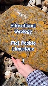Educational Geology Colorful Rockhounding Treasures: Flat Pebble Limestone / Tempestite 1
