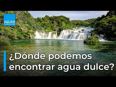 ¿Sabes dónde se encuentra REALMENTE el AGUA DULCE💧 en nuestro planeta?