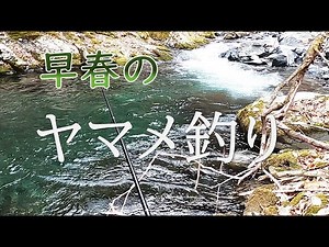 早春のヤマメ釣り