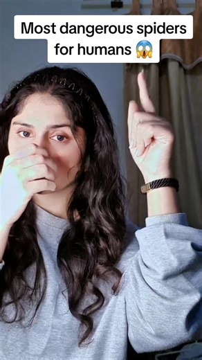 Top 10 Most Dangerous Spiders for Humans