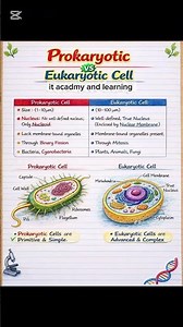 Prokaryotic and Eukaryotic cells #biology #difference #exam
