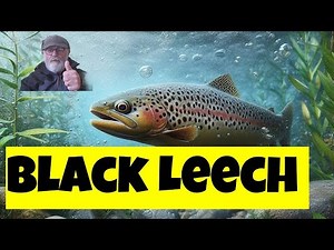 Fly's for rainbow trout (Black leech pattern)