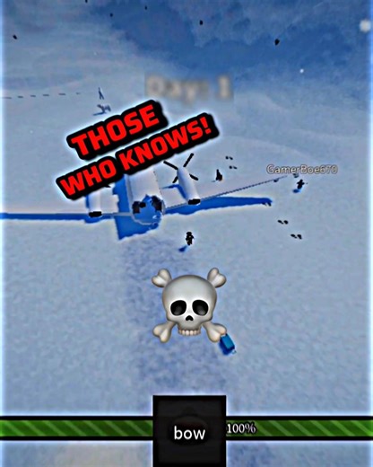 Flight 871 💀 [Explanation in Discription] | #roblox #shorts #edit