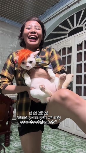 Chuyện Nhảm Mèo: Những Khoảnh Khắc Hài Hước Sáng Hôm Nay