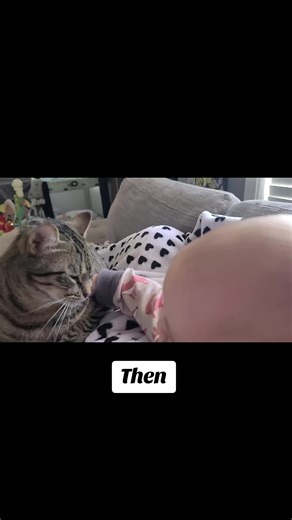 From learning to pet nice to big hugs and using him as a pillow 🥰 Rigby is often so tolerant of his human brother (as long as it means he can still be by mama). He was my boy that got me through infertility and IVF, and I wouldn't trade him for the world 🥰 🐈 #catmomlife #boymom #besties