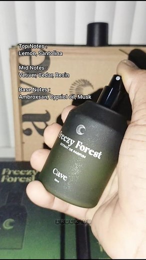 Freezy Forest ~ The fresh scent of the forest 🌳