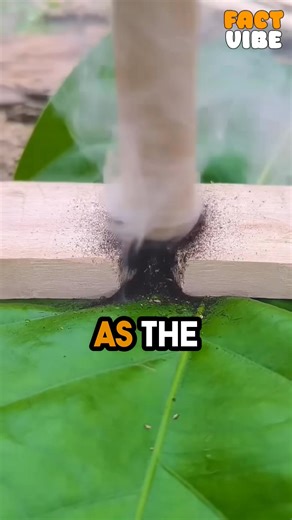 🔥 How Ancient People Made Fire | Mind Crafts